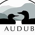 New Hampshire Audubon - Artist