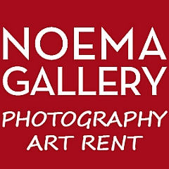 Noema Gallery - Artist