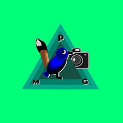 PGM Group - Artist