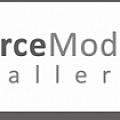 Pierce Modern Gallery - Artist