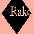 Rake Art Gallery - Artist