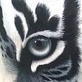 Ranthambhore art gallery - Artist