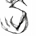 Sisnobe - Artist