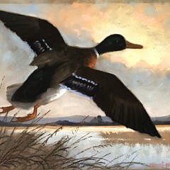 GalleryNewport - Artist