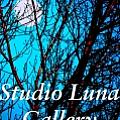 Studio Luna Gallery - Artist
