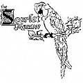 The Scarlet Macaw - Artist