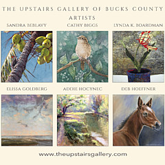 The Upstairs Gallery of Bucks County - Artist