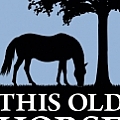 This Old Horse, Inc. - Artist