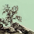 Thousand Oaks Art Gallery - Artist