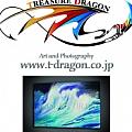 Treasure dragon - Artist