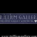 Trillium Gallery - Artist