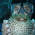 Underwater display - Artist