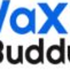 Vaxi Buddy - Artist Vaxi Buddy - Artist