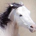 Virginia Equine Artists Association - Artist