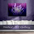 Walled Art Gallery - Artist