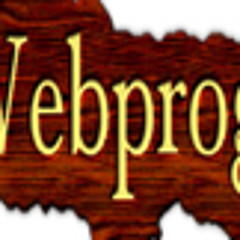 Webprogr  - Artist