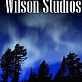 Wilson Studios - Artist