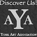 York Art Associatiaon - Artist