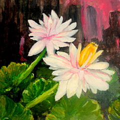 Zaitun Gallery - Artist