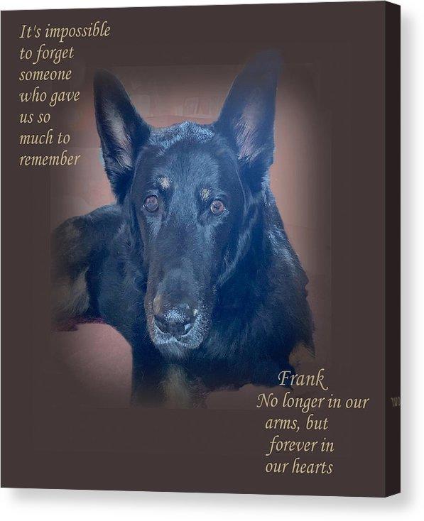 Top Dawg Canvas Print / Canvas Art by Pete Maier